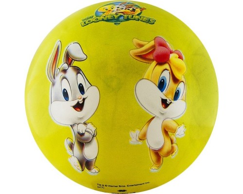 Мяч детский Looney Tunes арт.WB-LT-001 23 см, салатовый